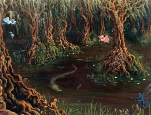 The Enchanted Swamp